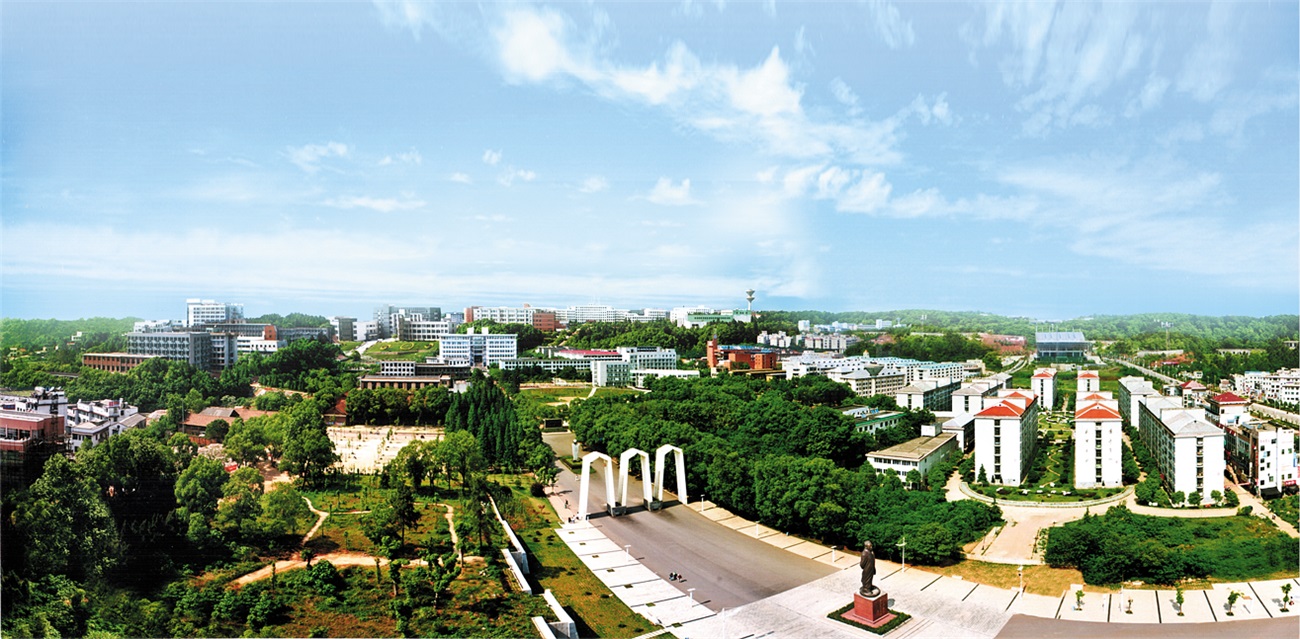 全景
